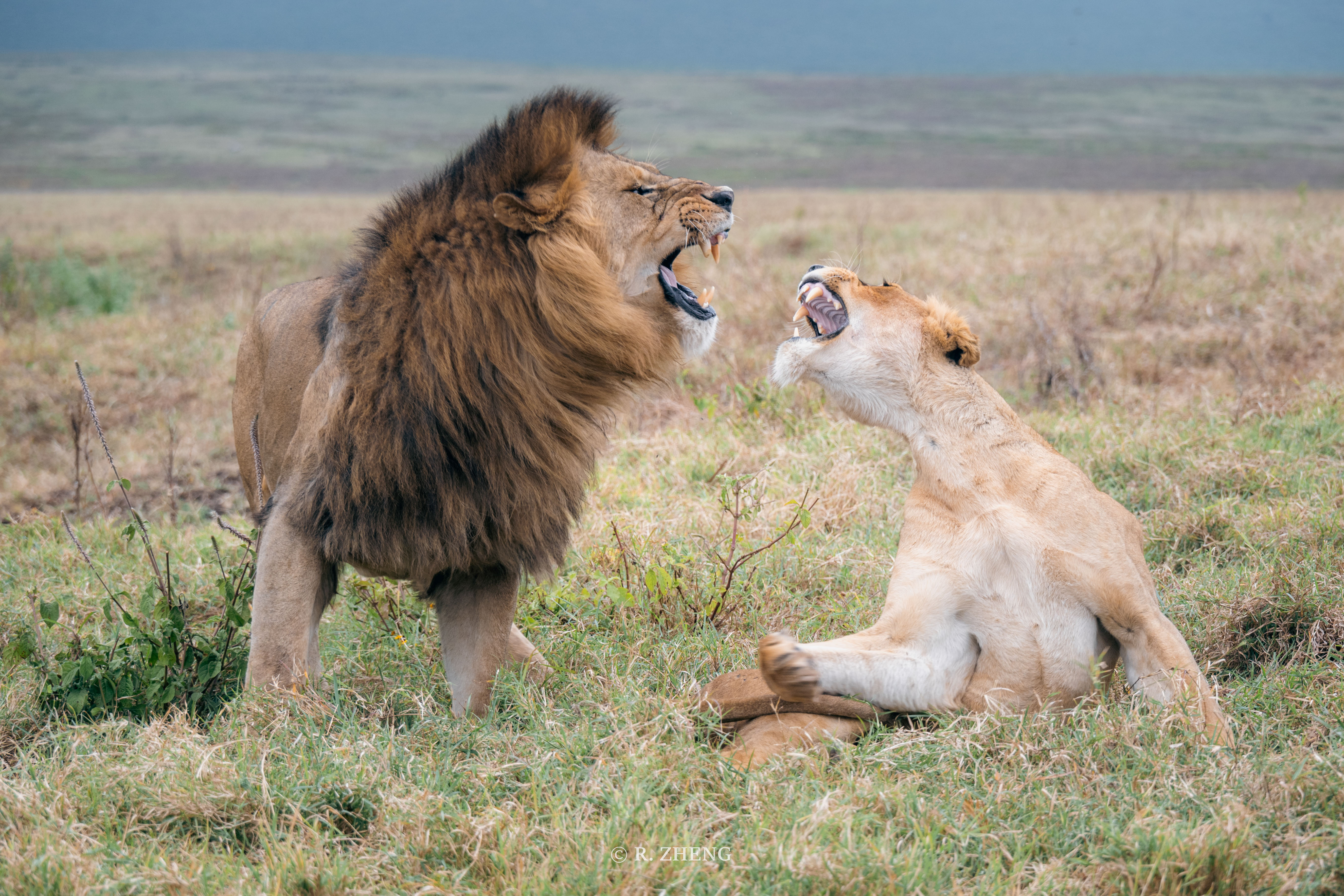 Ngorongoro, Tanzania