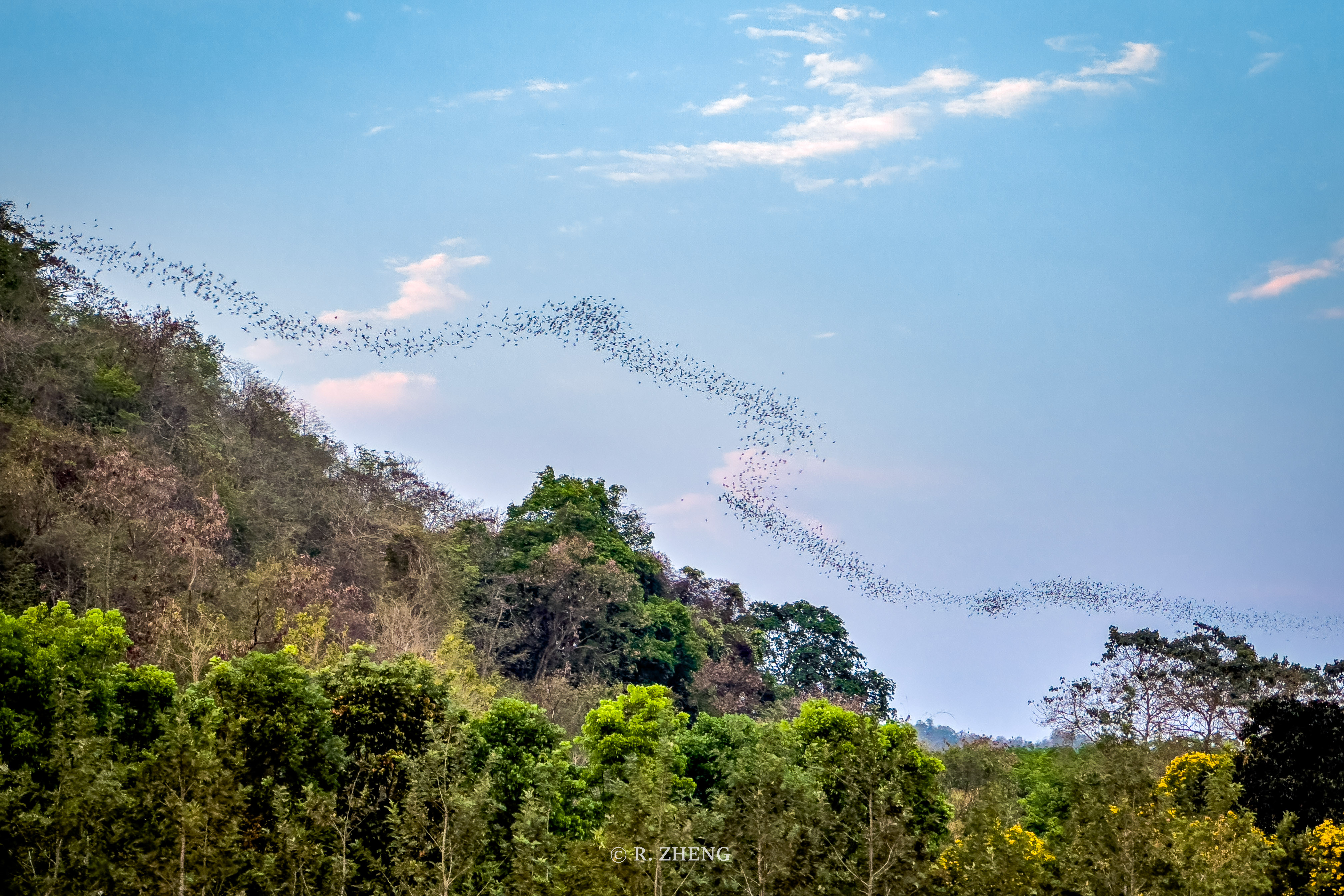 Khao Yai National Park, Thailand